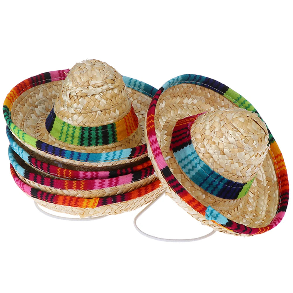 Fiesta Dog Sombrero 🌮 | Funny Pet Party Hat