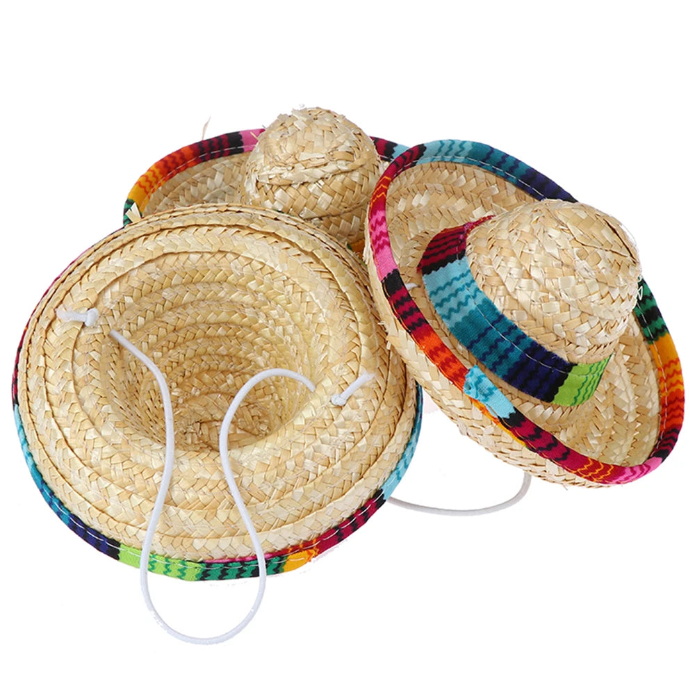 Fiesta Dog Sombrero 🌮 | Funny Pet Party Hat