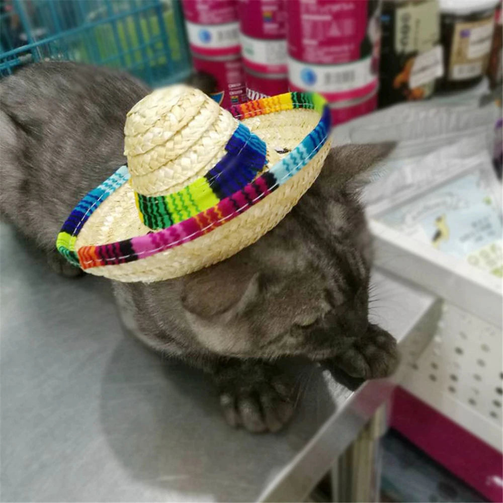 Fiesta Dog Sombrero 🌮 | Funny Pet Party Hat