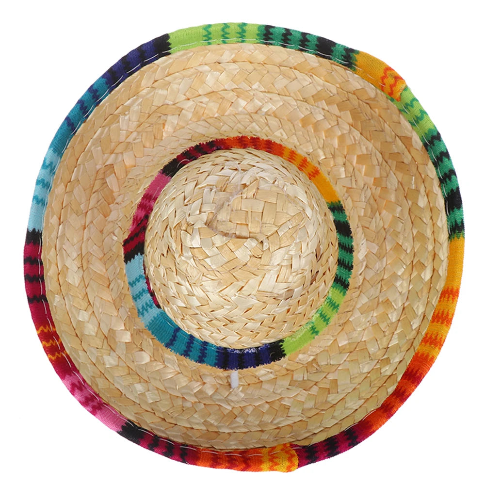 Fiesta Dog Sombrero 🌮 | Funny Pet Party Hat