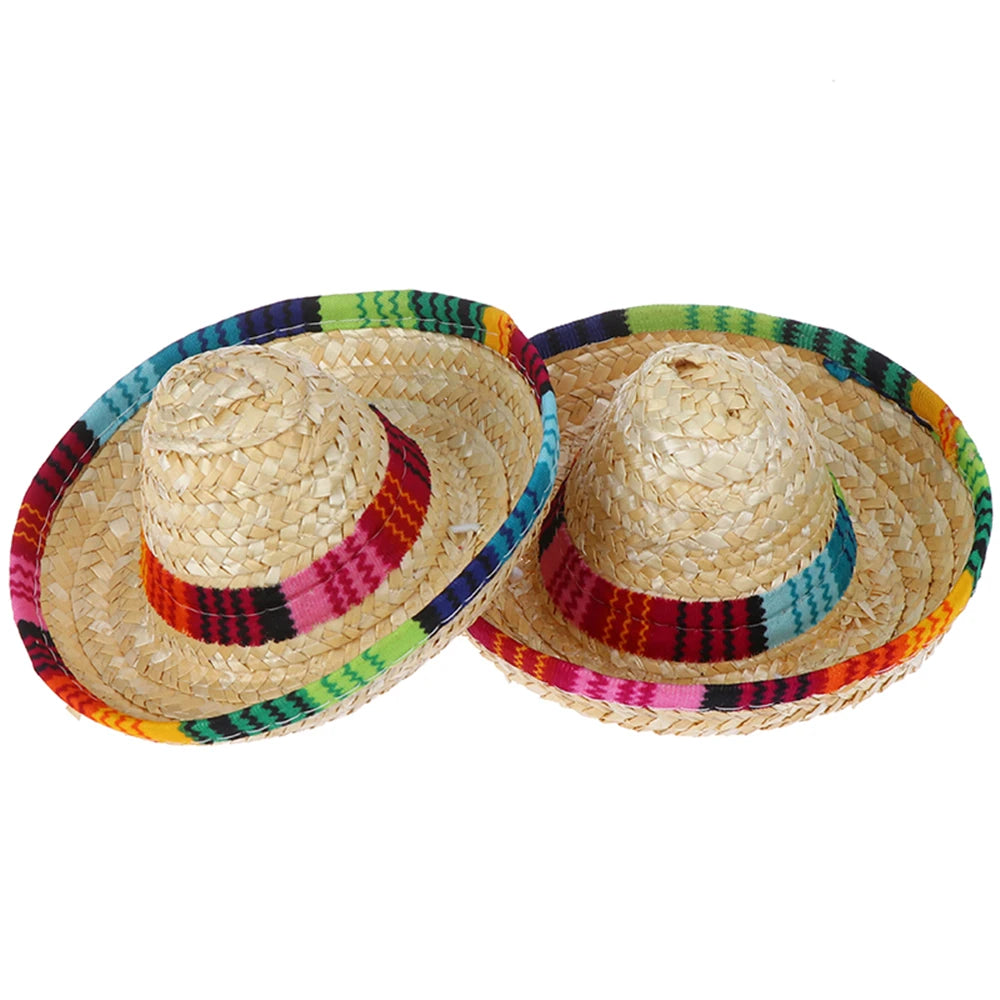 Fiesta Dog Sombrero 🌮 | Funny Pet Party Hat