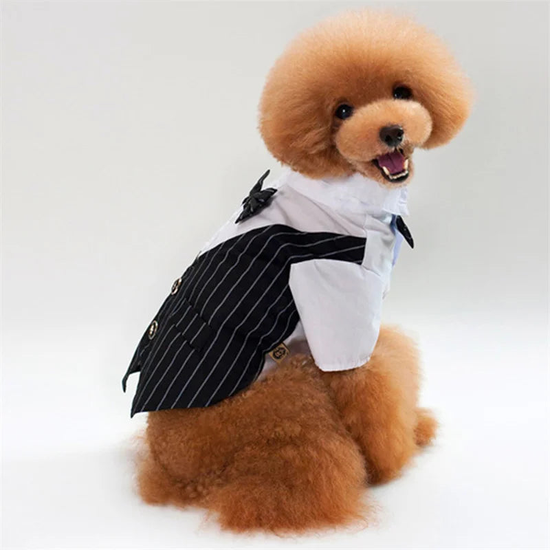 Formal Dog Tuxedo Shirt