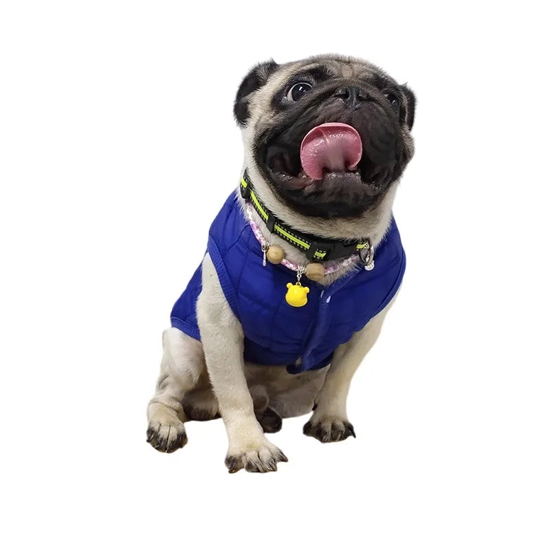 Warm Cotton Dog Jacket