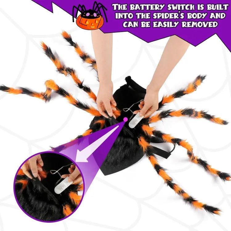 LED Spider Dog Costume