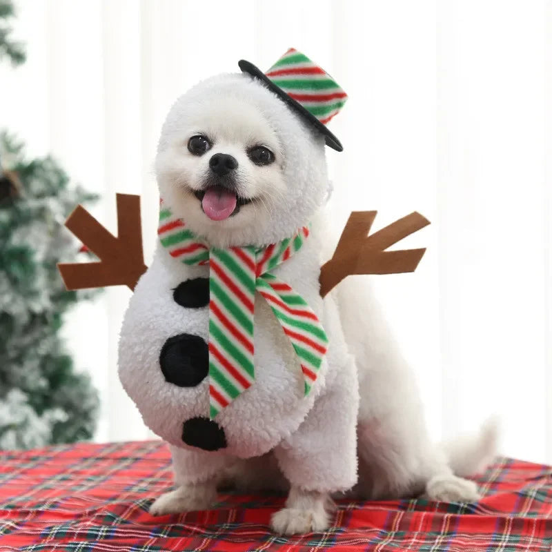 Funny Snowman Dog Costume