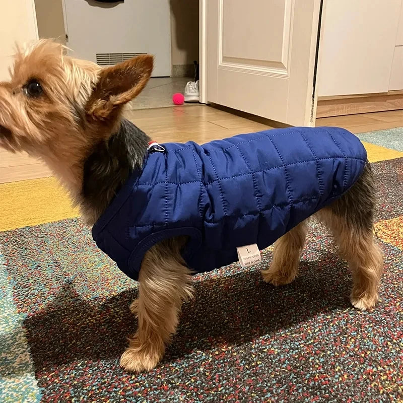 Warm Cotton Dog Jacket