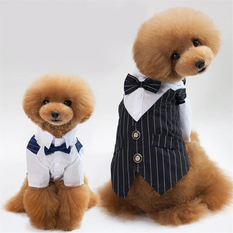 Formal Dog Tuxedo Shirt