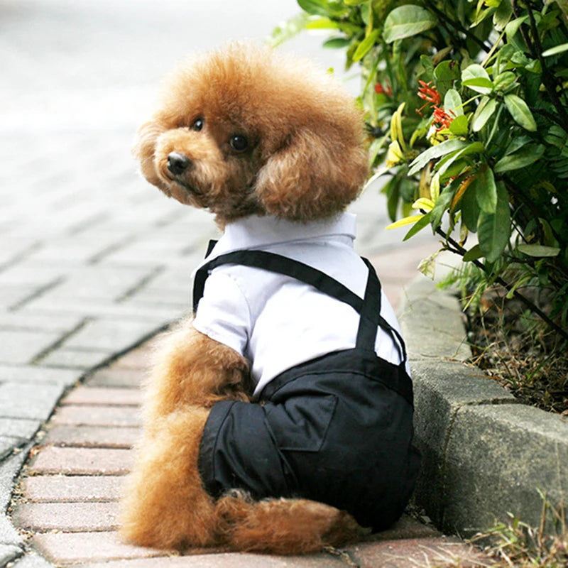 Formal Dog Tuxedo Shirt
