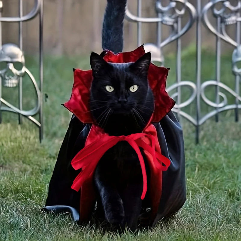 Vampire Dog Cape