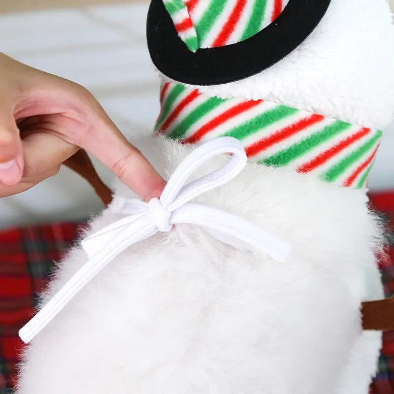 Funny Snowman Dog Costume