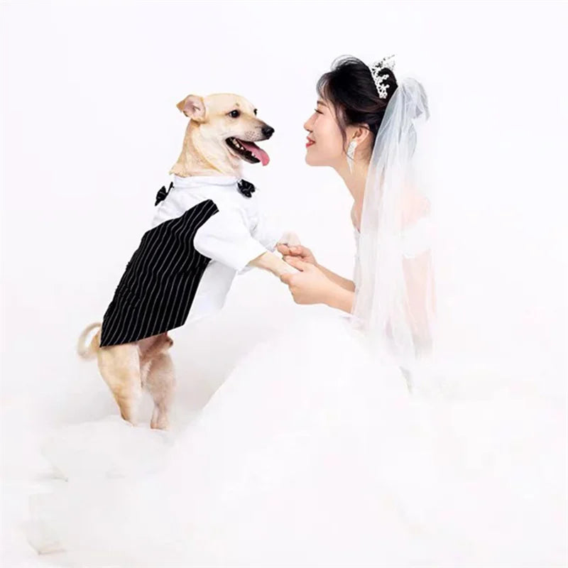 Formal Dog Tuxedo Shirt