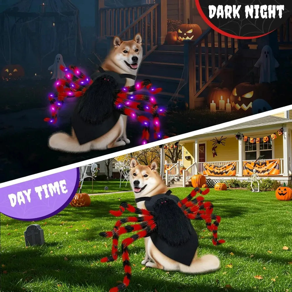 LED Spider Dog Costume
