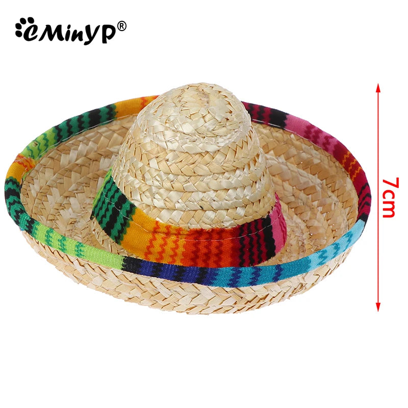 Fiesta Dog Sombrero 🌮 | Funny Pet Party Hat