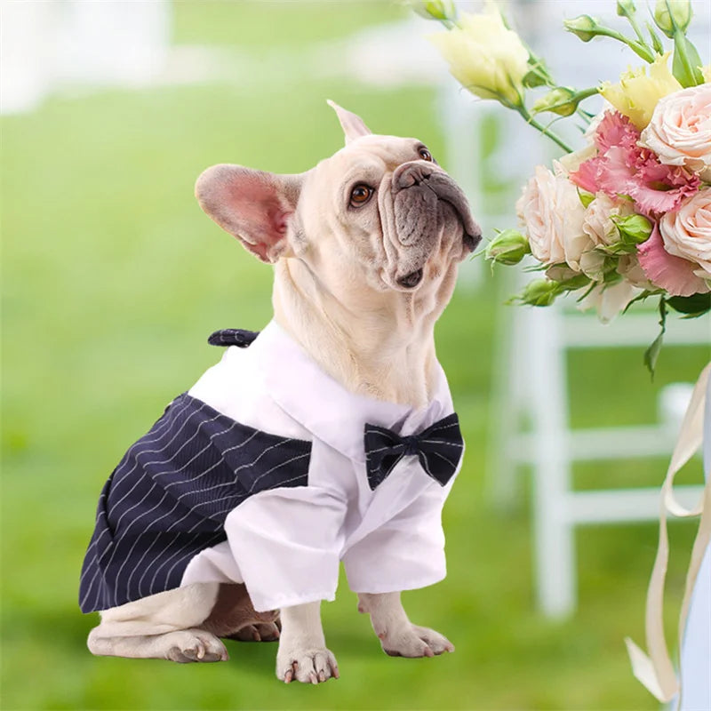 Formal Dog Tuxedo Shirt