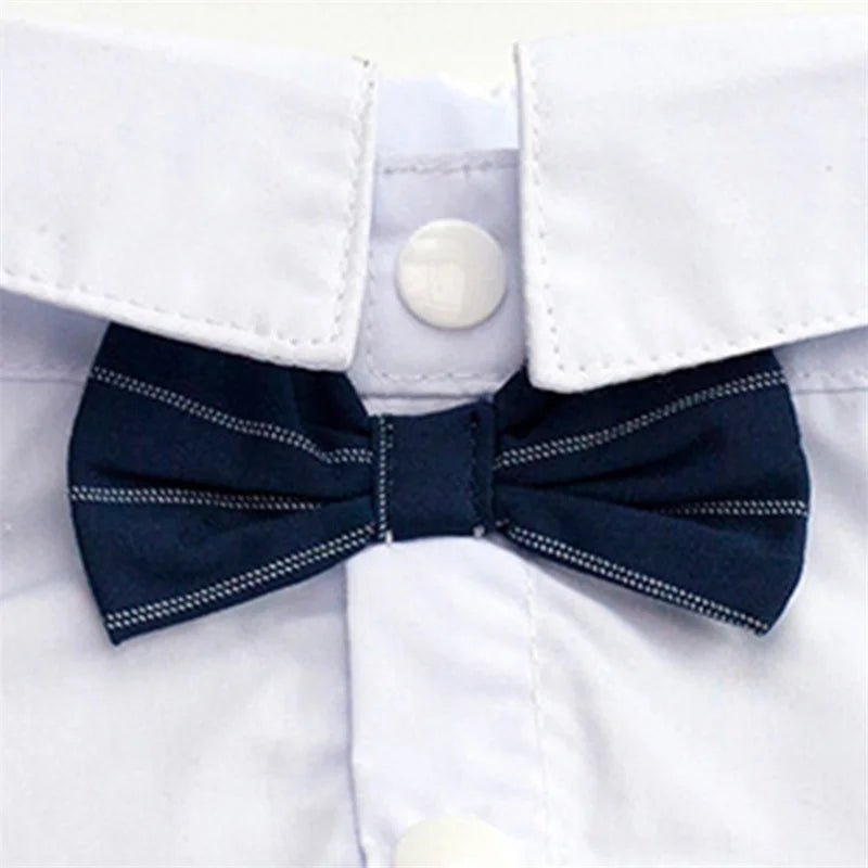 Formal Dog Tuxedo Shirt
