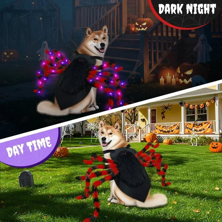LED Spider Dog Costume