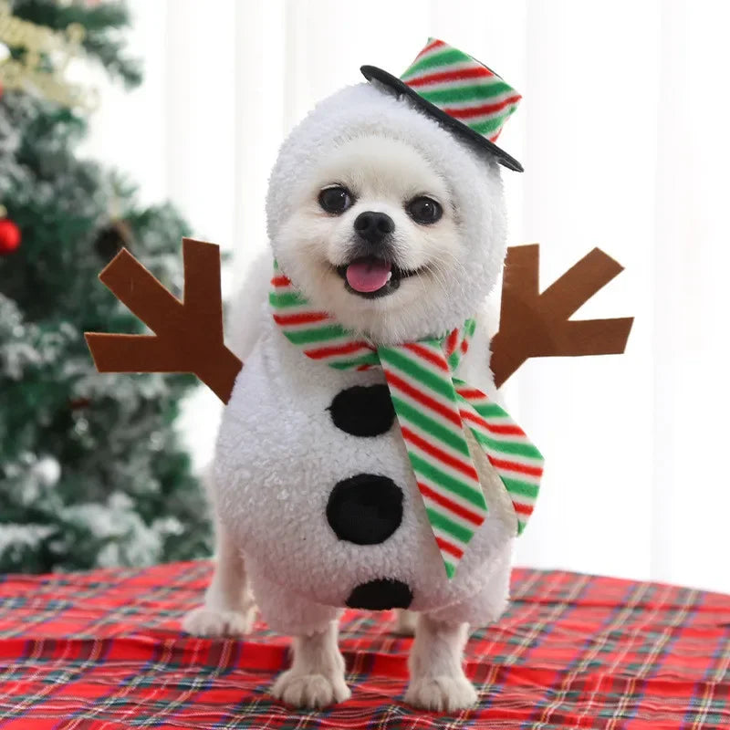 Funny Snowman Dog Costume