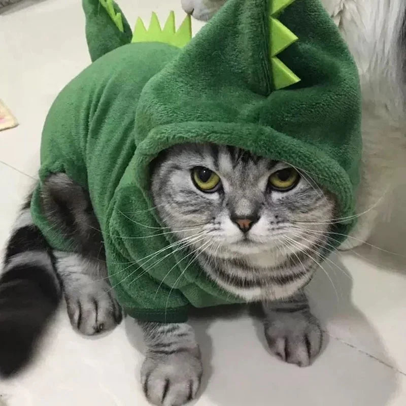 Dinosaur Dog Costume