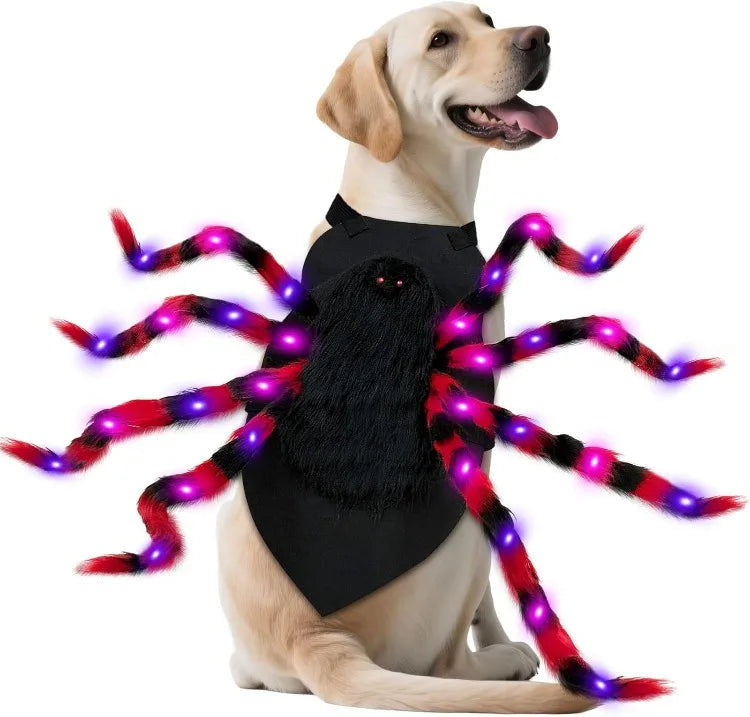 LED Spider Dog Costume
