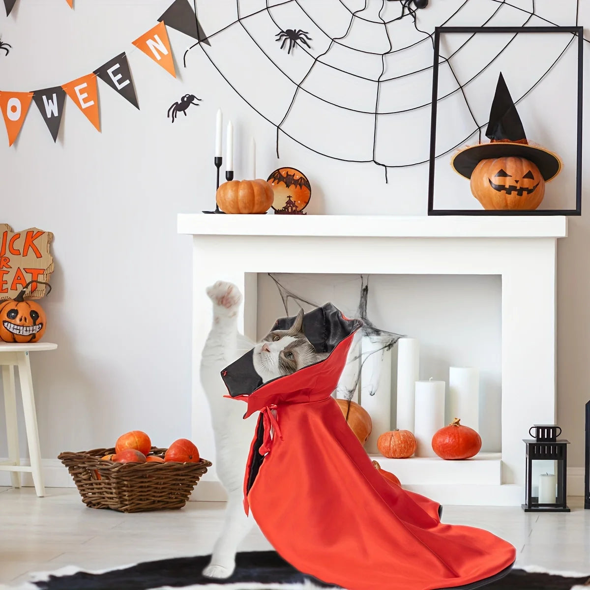 Vampire Dog Cape