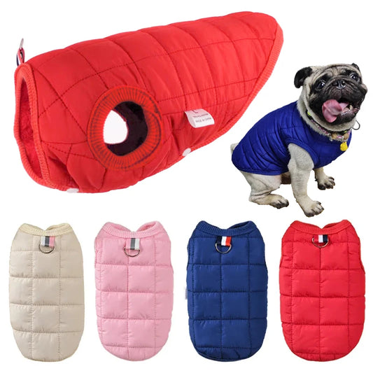 Warm Cotton Dog Jacket