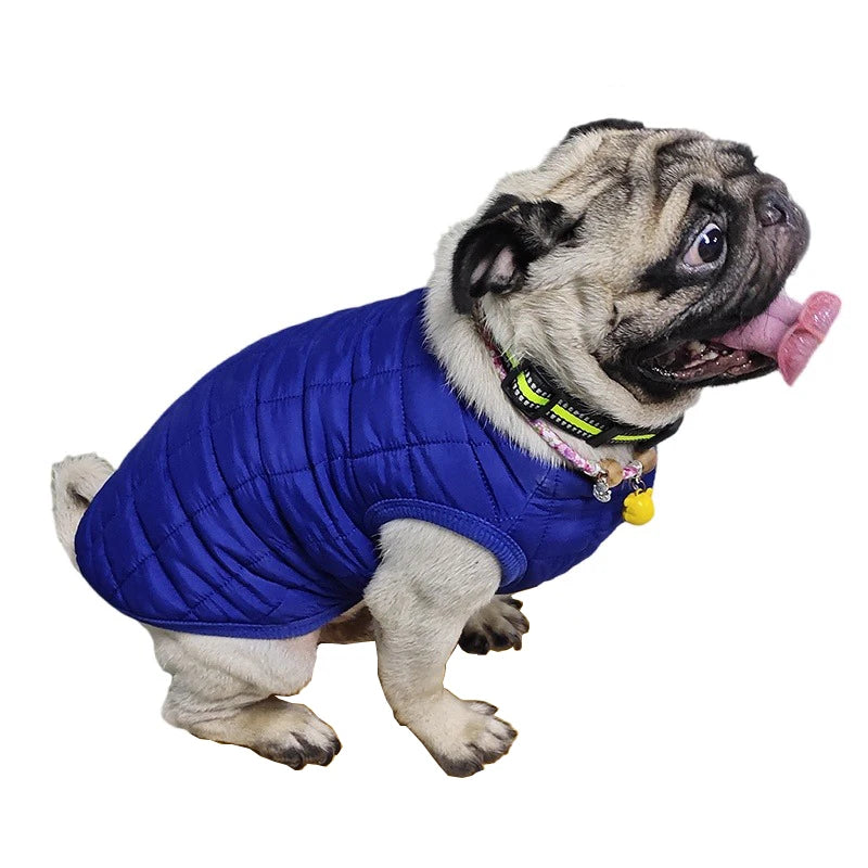Warm Cotton Dog Jacket