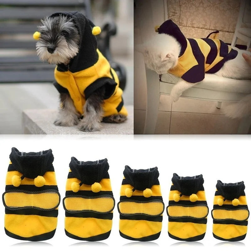 Bumble Bee Dog Costume