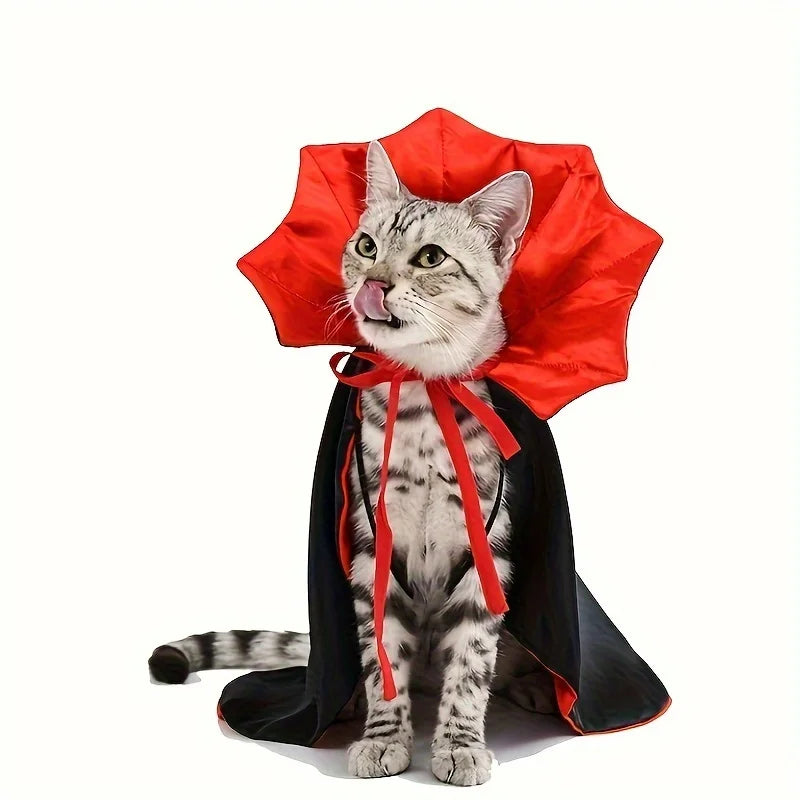 Vampire Dog Cape