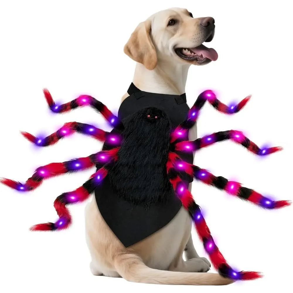 LED Spider Dog Costume