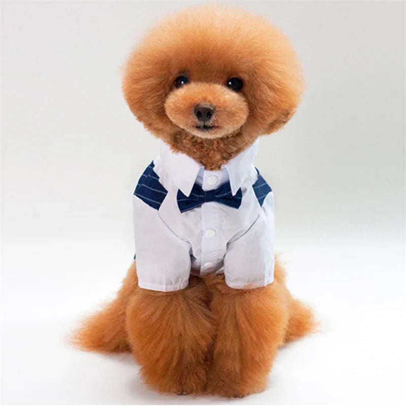 Formal Dog Tuxedo Shirt