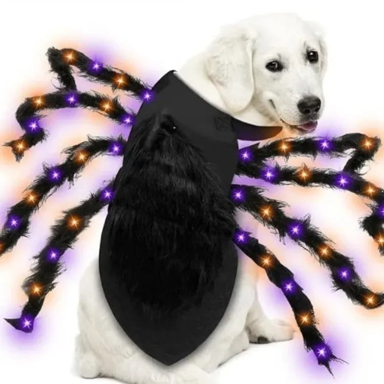 LED Spider Dog Costume