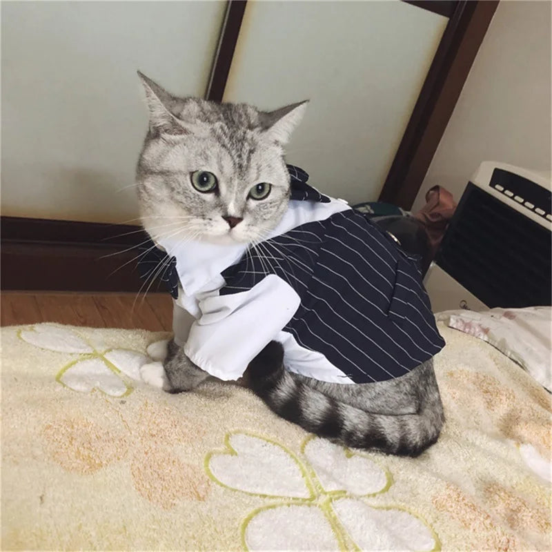 Formal Dog Tuxedo Shirt