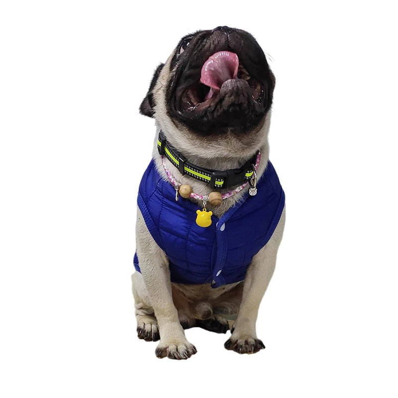 Warm Cotton Dog Jacket