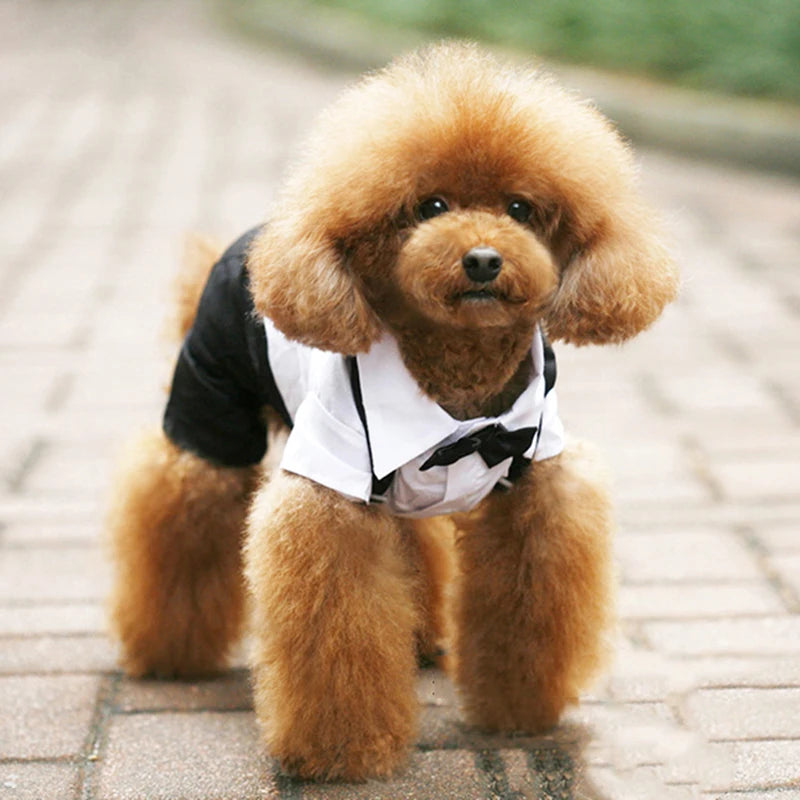 Formal Dog Tuxedo Shirt