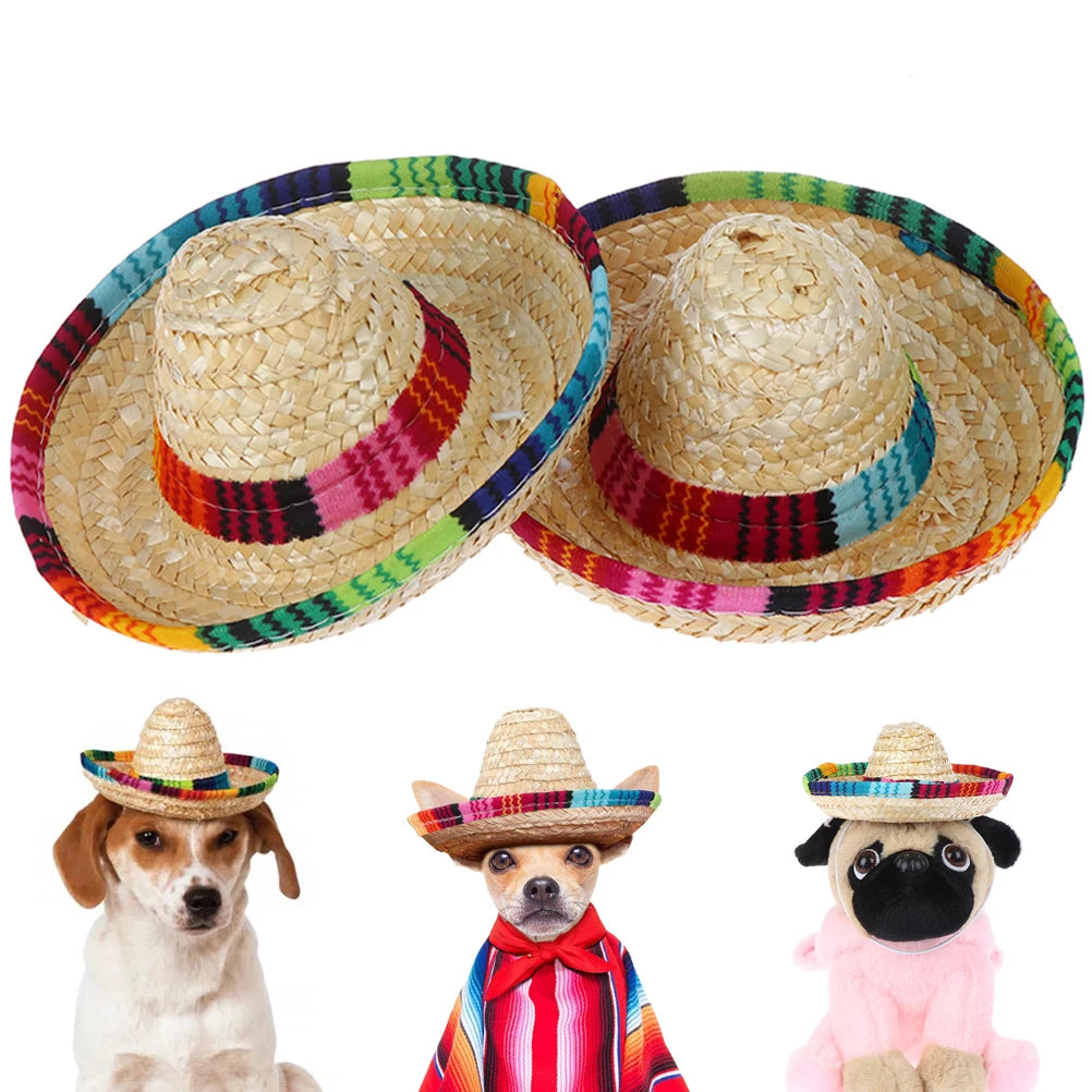 Fiesta Dog Sombrero 🌮 | Funny Pet Party Hat
