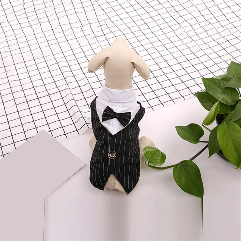 Formal Dog Tuxedo Shirt