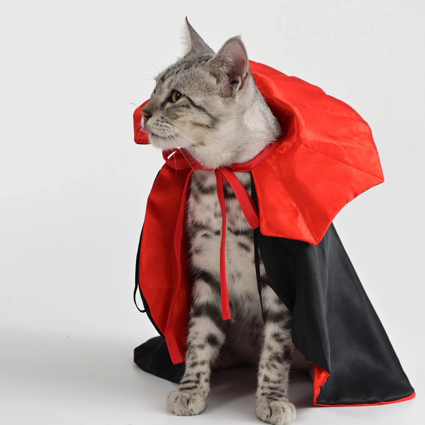 Vampire Dog Cape