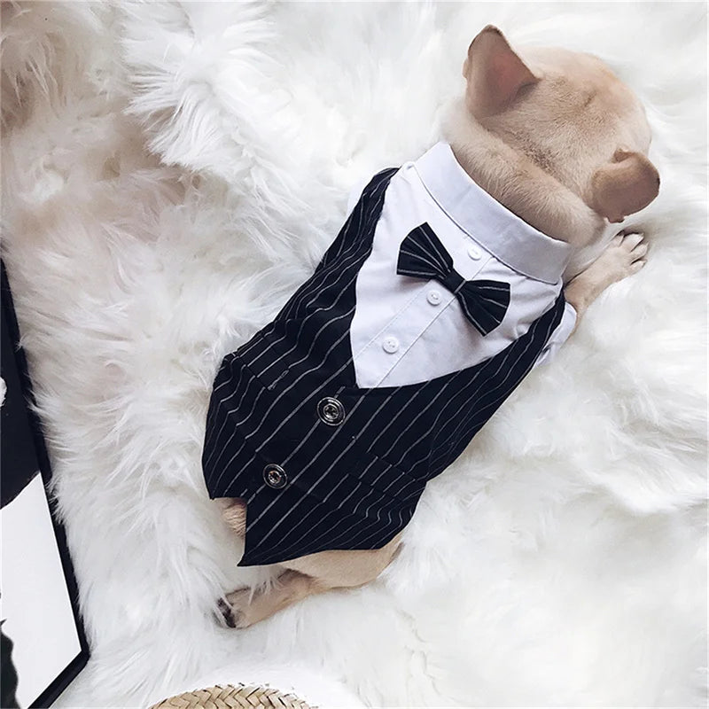 Formal Dog Tuxedo Shirt