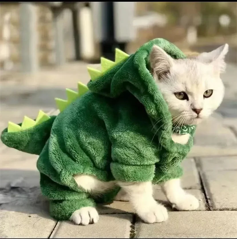 Dinosaur Dog Costume