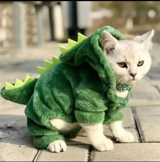Dinosaur Dog Costume